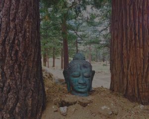 Guided yoga retreats - Idyllwild, California