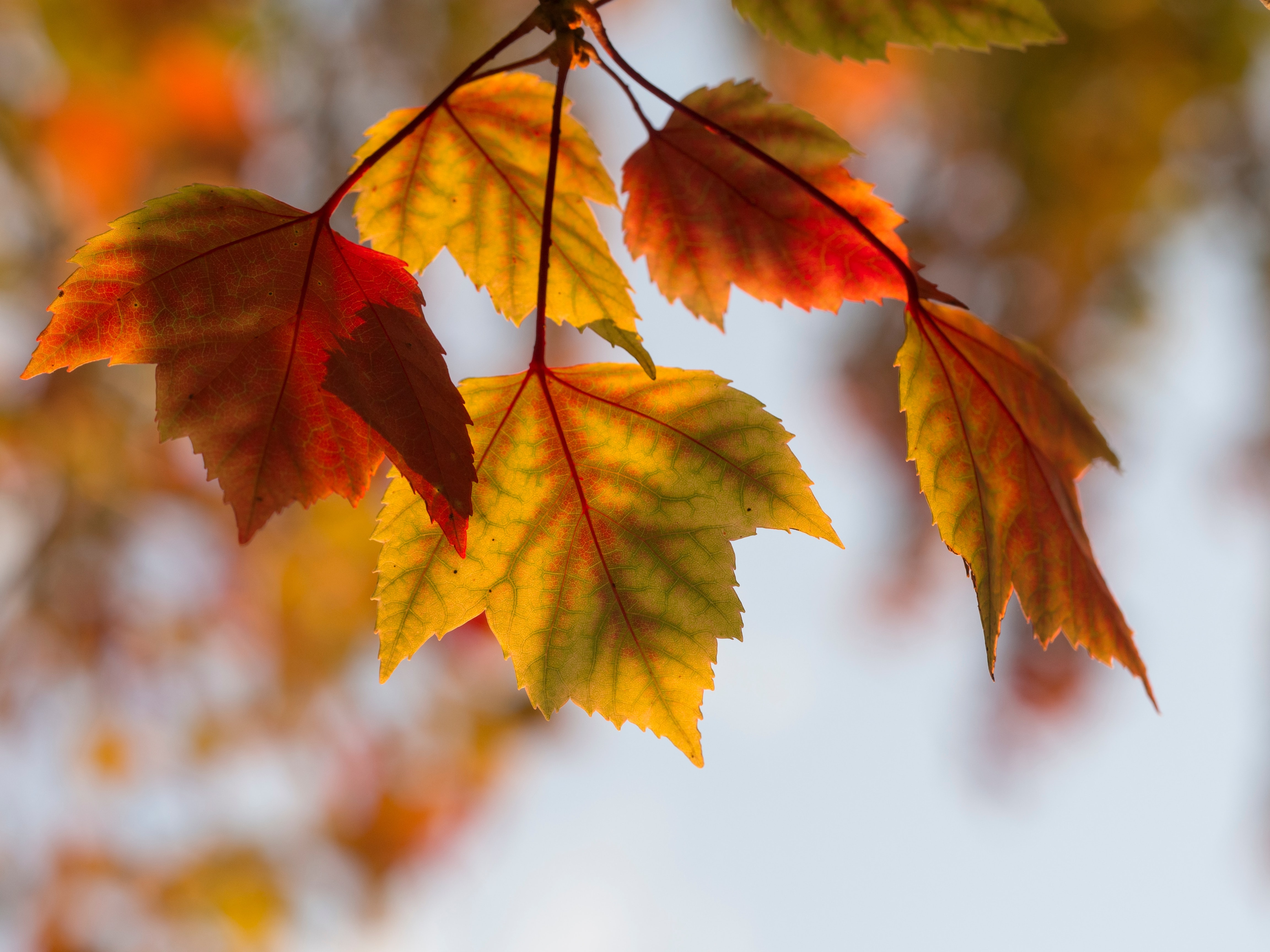 aaron-burden-Aa3ALtIxEGY-unsplash