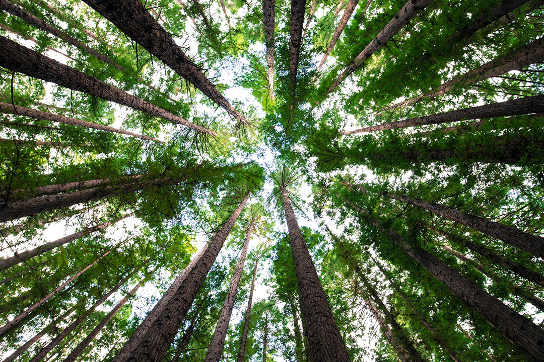 arnaud-mesureur-7EqQ1s3wIAI-unsplash-1-scaled-1